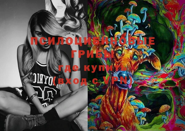 мдпв Богданович