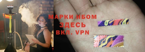 ECSTASY Белокуриха