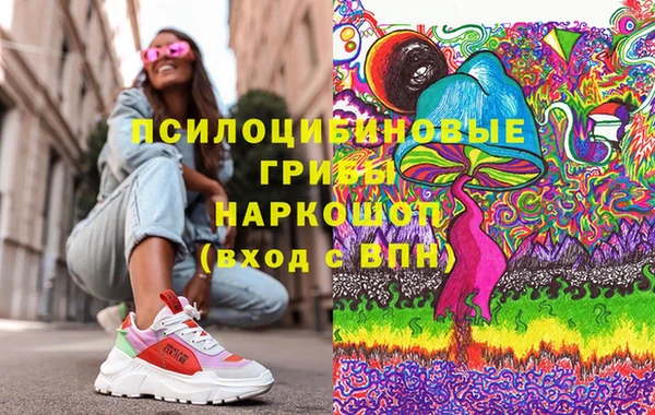 мдпв Богданович