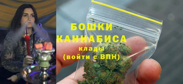 мдпв Богданович