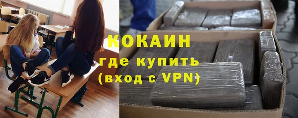 ECSTASY Белокуриха