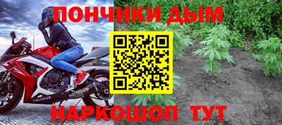 гашик Шелехов