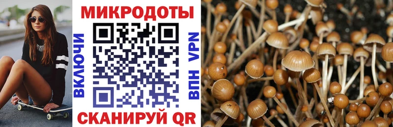 Псилоцибиновые грибы Psilocybe Пыть-Ях