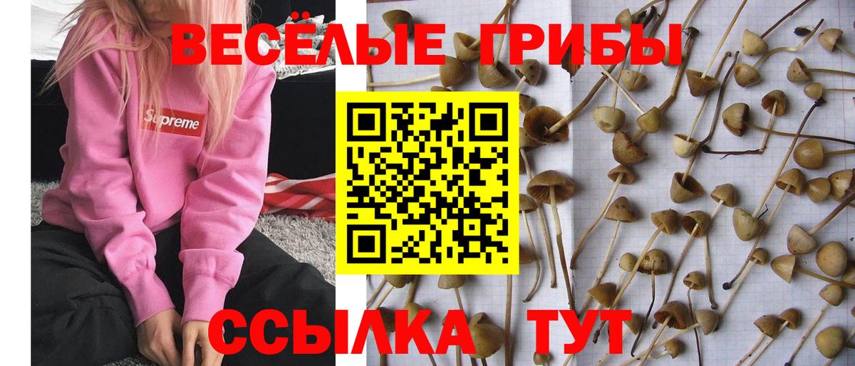 Галлюциногенные грибы мухоморы Пыть-Ях