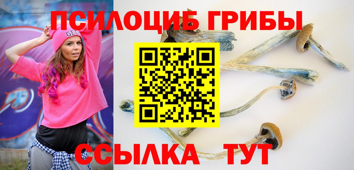 Пыть-Ях  Галлюциногенные грибы Cubensis  Вход с VPN 